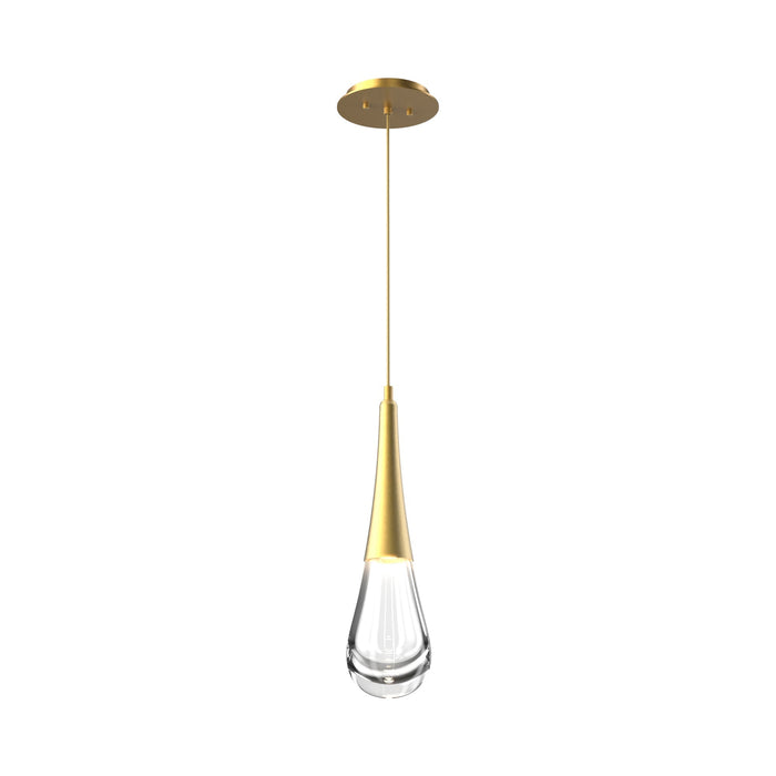 Raindrop LED Pendant Light in Gilded Brass.