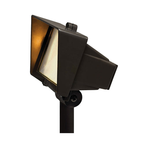 Flood Light With Frosted Lens in Bronze.