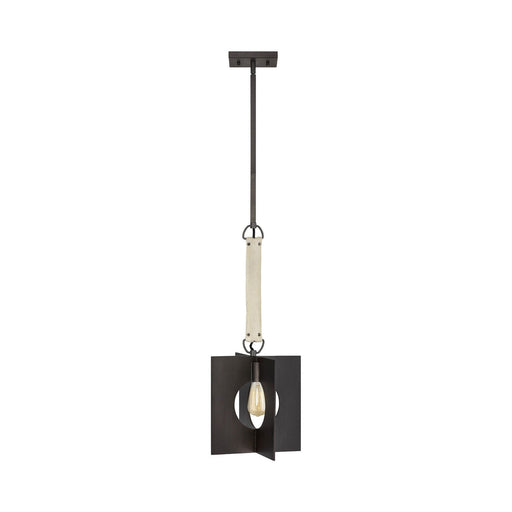 Ludlow Pendant Light in Brushed Graphite.