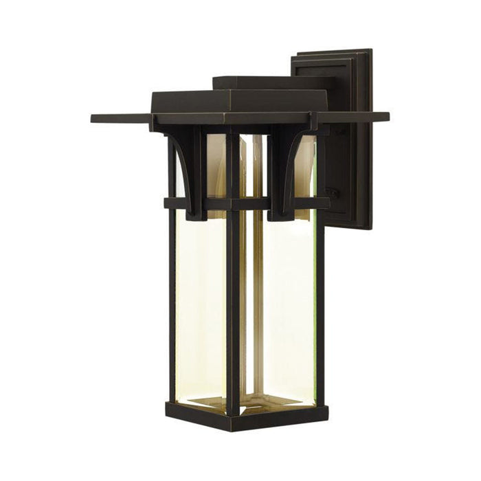 Manhatten Outside Area Wall Light in Clear Beveled/Led (Large).