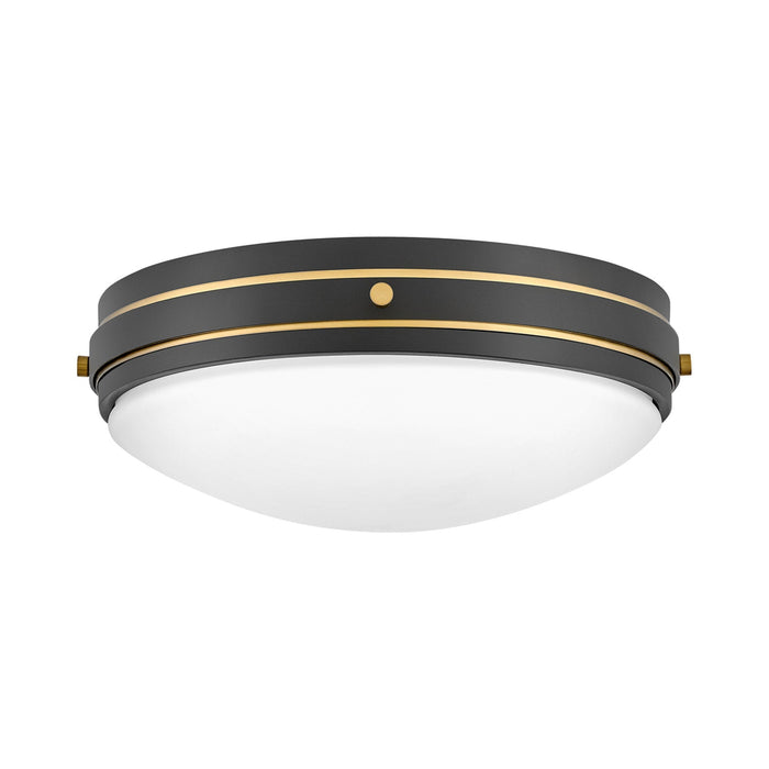 Oliver Flush Mount Ceiling Light in Black (Medium).