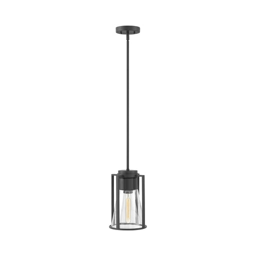 Refinery Pendant Light in Black With Clear Glass.