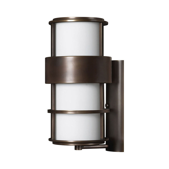 Saturn Outside Area Wall Light in Large/Metro Bronze.