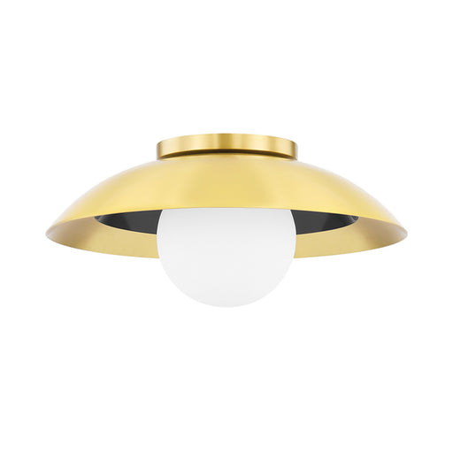 Tobia Ceiling / Wall Light.
