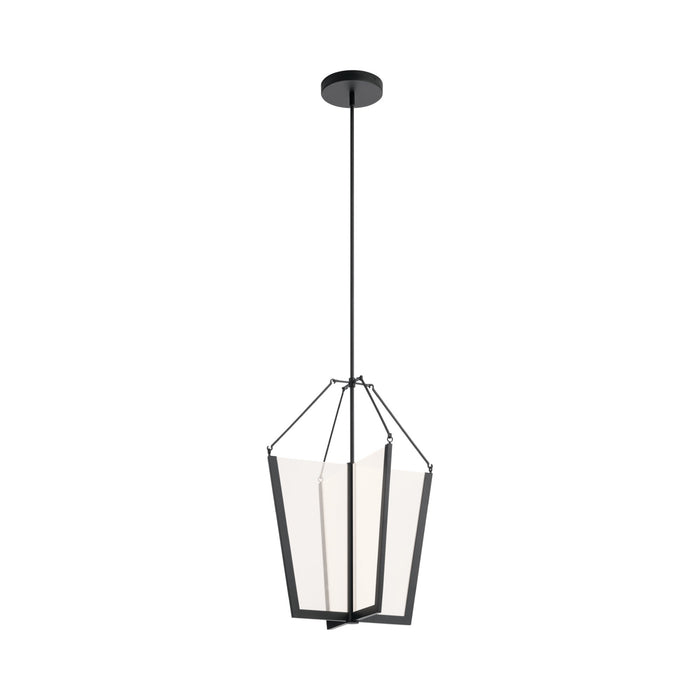 Calters LED Pendant Light in Large/Black.