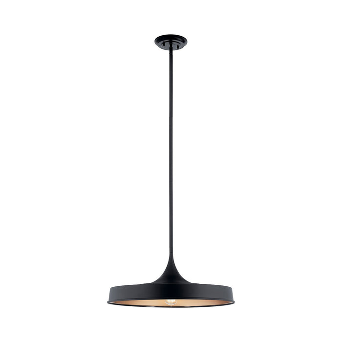 Elias Outdoor LED Convertible Pendant Light in Small/Black.