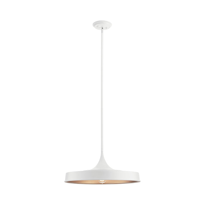 Elias Outdoor LED Convertible Pendant Light in Small/White.