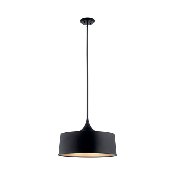 Elias Outdoor LED Convertible Pendant Light in Large/Black.