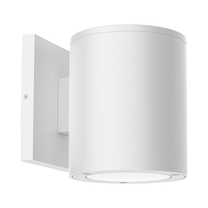 Lamar Outdoor LED Wall Light in Downlight/Small/White.