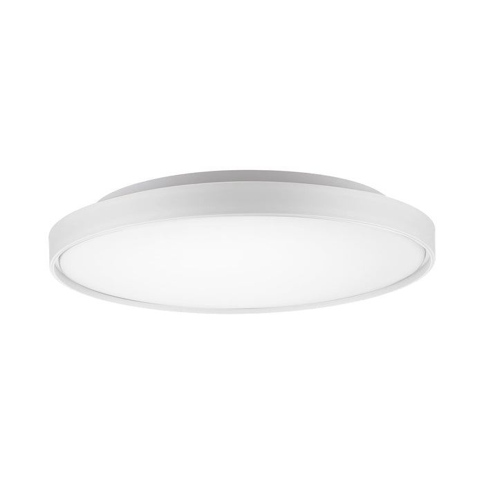 Brunswick LED Flushmount Ceiling Light in White (Large).