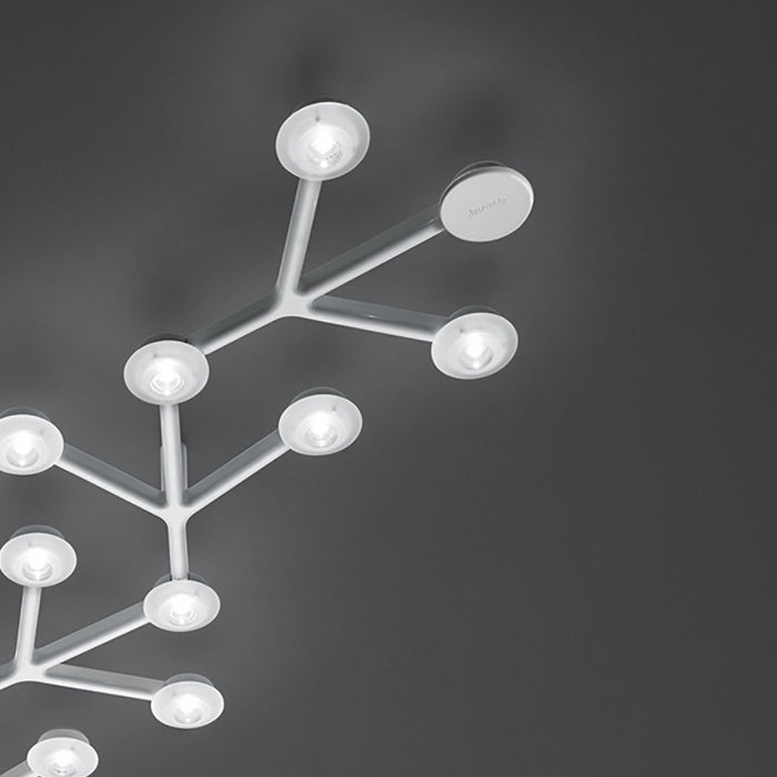 LED Net Line Ceiling Light in Detail.