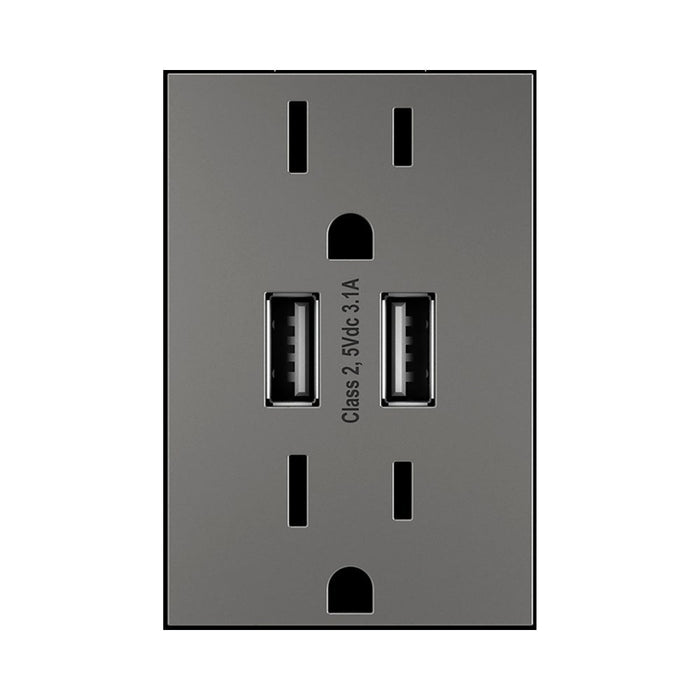 adorne® Dual USB Plus-Size Outlet Combo in Magnesium.