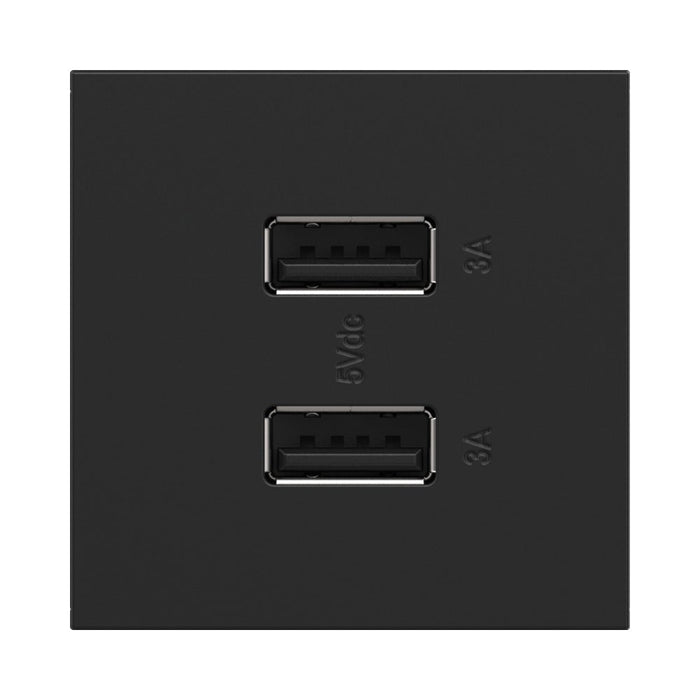 adorne® Full-Size, A/A USB Outlet in Graphite.