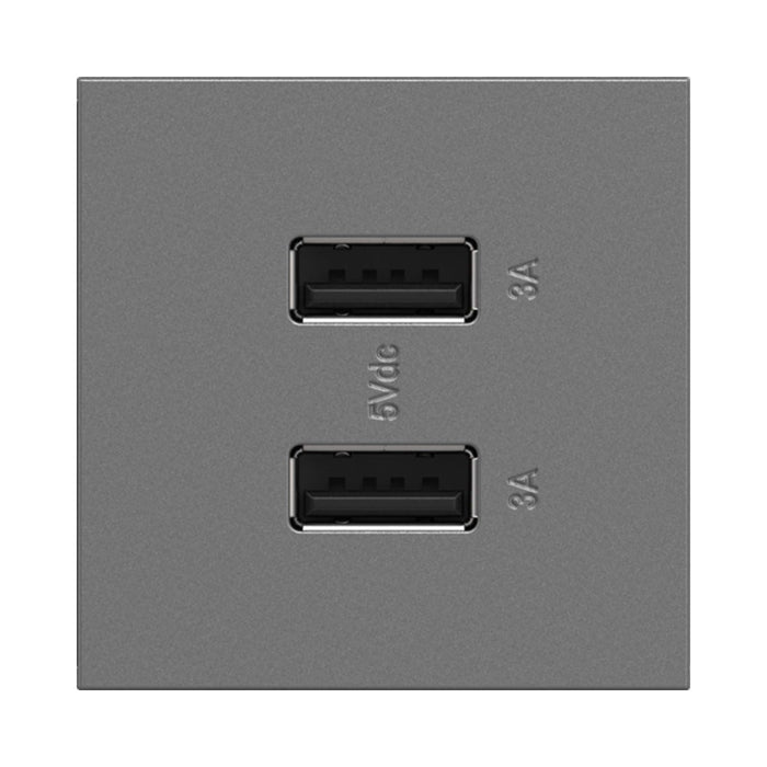 adorne® Full-Size, A/A USB Outlet in Magnesium.