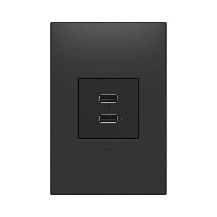 adorne® Full-Size, A/A USB Outlet in Detail.