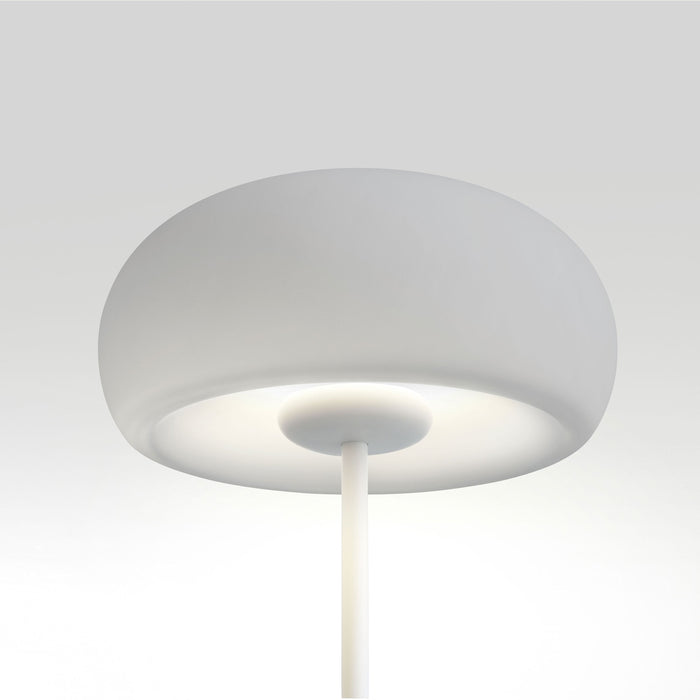 Vetra P LED Floor Lamp in Detail.