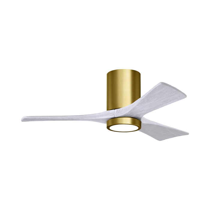 Irene IR3HLK LED Flush Mount Ceiling Fan in Brushed Brass/Matte White (42-Inch).