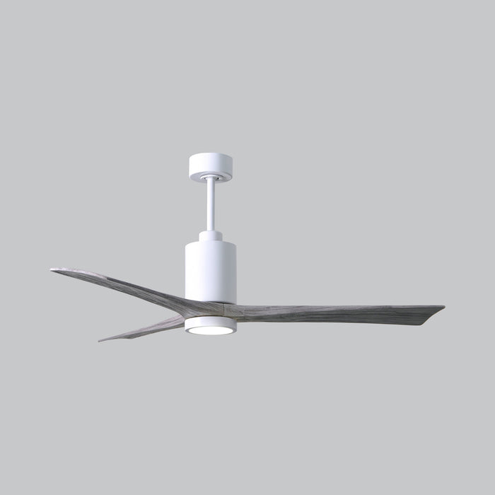 Patricia 3 Indoor / Outdoor LED Ceiling Fan in Detail.