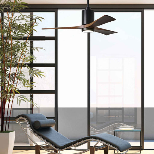 Patricia 3 Indoor / Outdoor LED Ceiling Fan in living room.