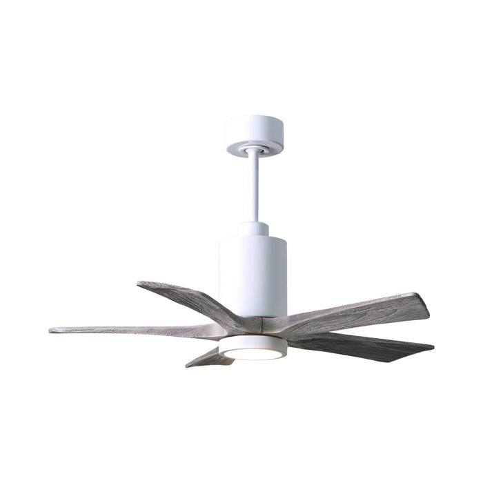 Patricia 5 Indoor / Outdoor LED Ceiling Fan in Gloss White/Barnwood (42-Inch).