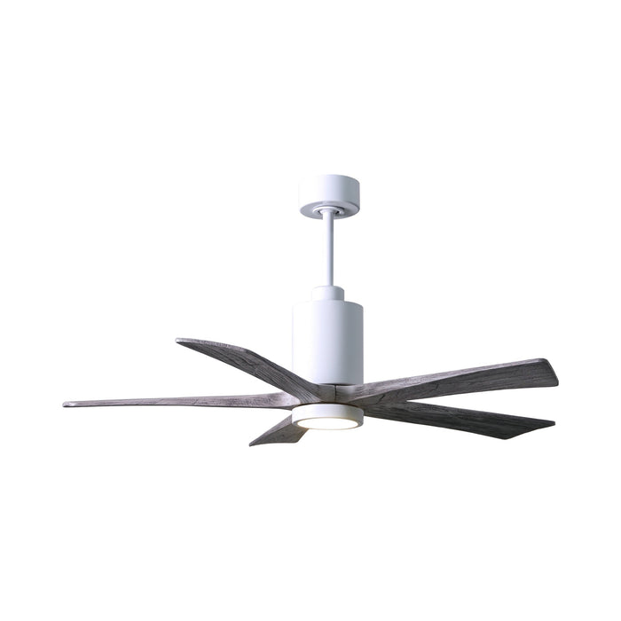 Patricia 5 Indoor / Outdoor LED Ceiling Fan in Gloss White/Barnwood (52-Inch).