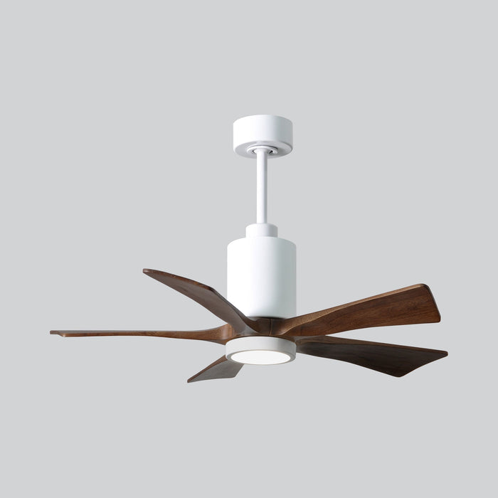 Patricia 5 Indoor / Outdoor LED Ceiling Fan in Detail.