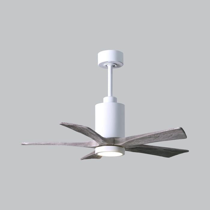 Patricia 5 Indoor / Outdoor LED Ceiling Fan in Detail.