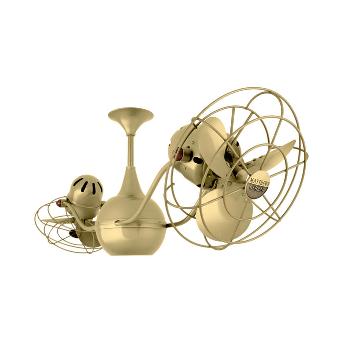 Vent-Bettina Ceiling Fan in Brushed Brass/Metal.