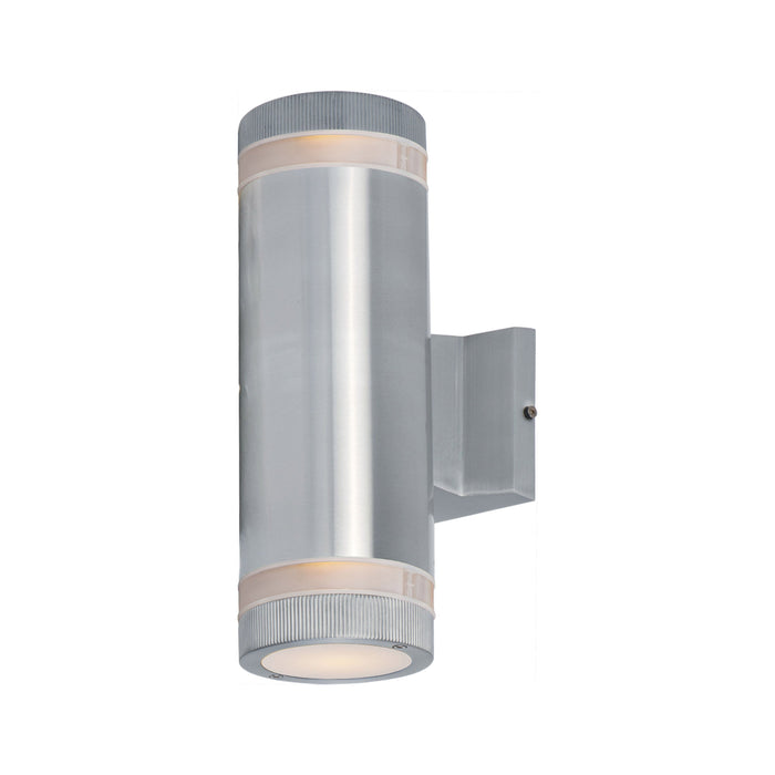 Lightray Outdoor Wall Light in Incandescent/Brushed Aluminum (12-Inch).