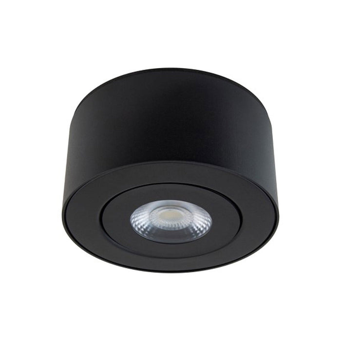 I Spy Outdoor LED Flush Mount Ceiling Light.