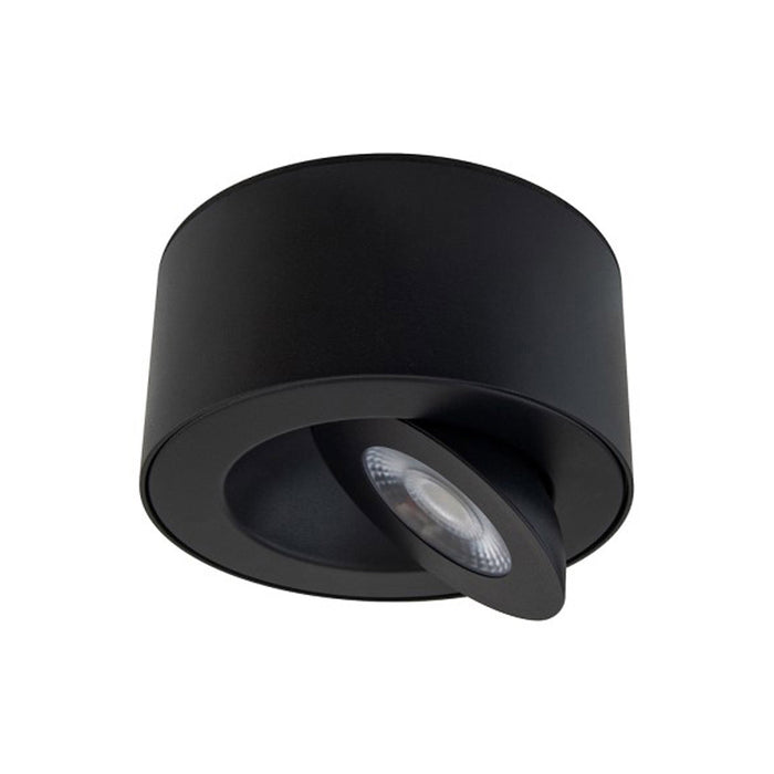 I Spy Outdoor LED Flush Mount Ceiling Light in Detail.