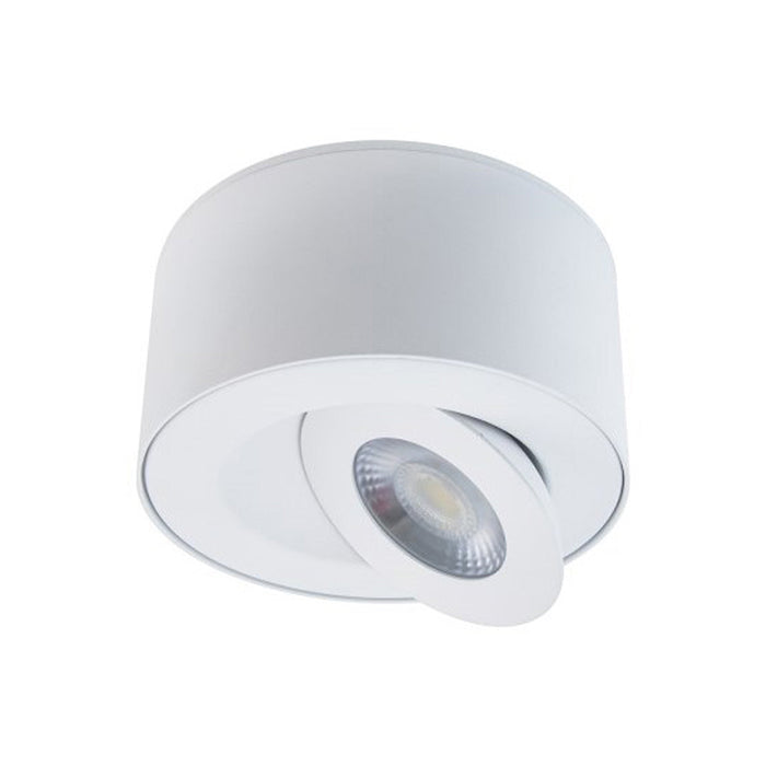 I Spy Outdoor LED Flush Mount Ceiling Light in Detail.