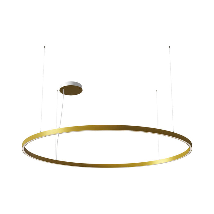 Zirkol LED Pendant Light in Gold (Circular/78.7 Inch/90W).