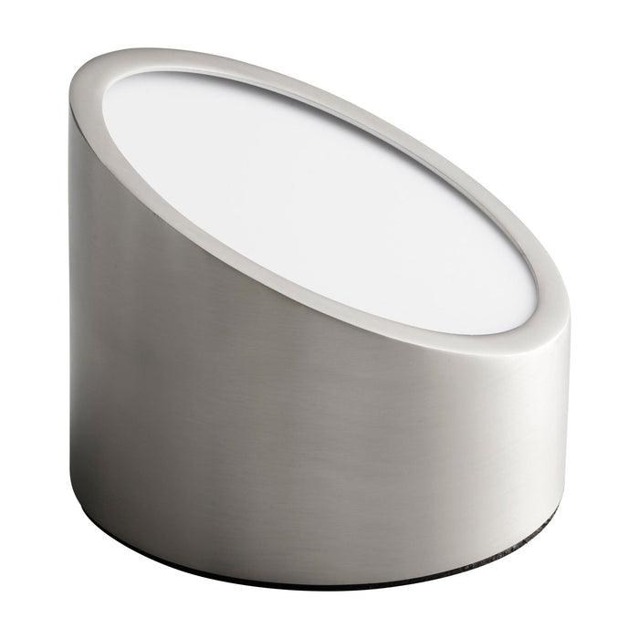 Zeepers LED Ceiling / Wall Light in Satin Nickel.