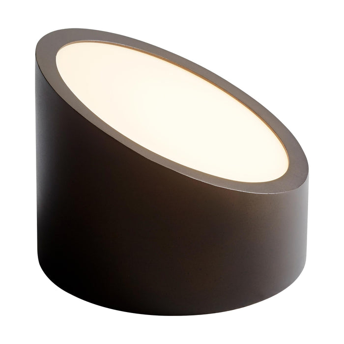 Zeepers LED Ceiling / Wall Light in Detail.