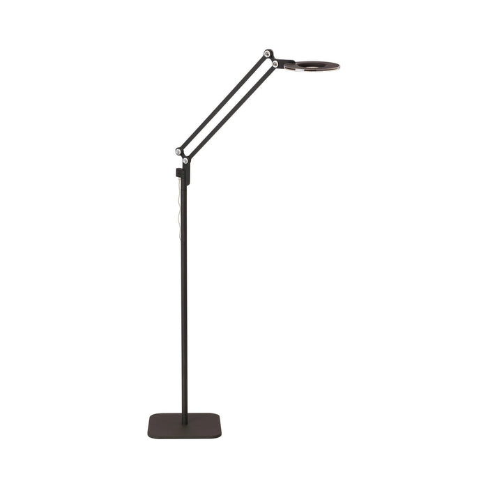 Link LED Floor Lamp in Black (Small).