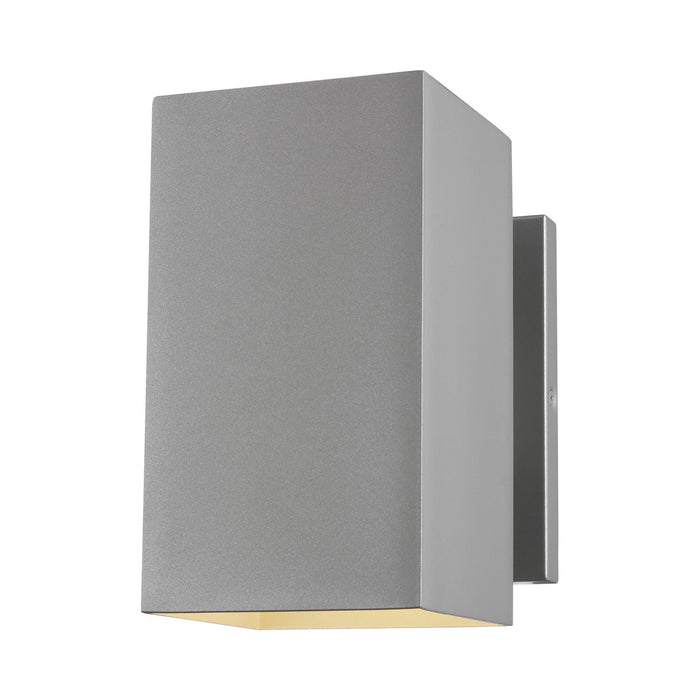Pohl Outdoor Wall Light in Medium/Painted Brushed Nickel.