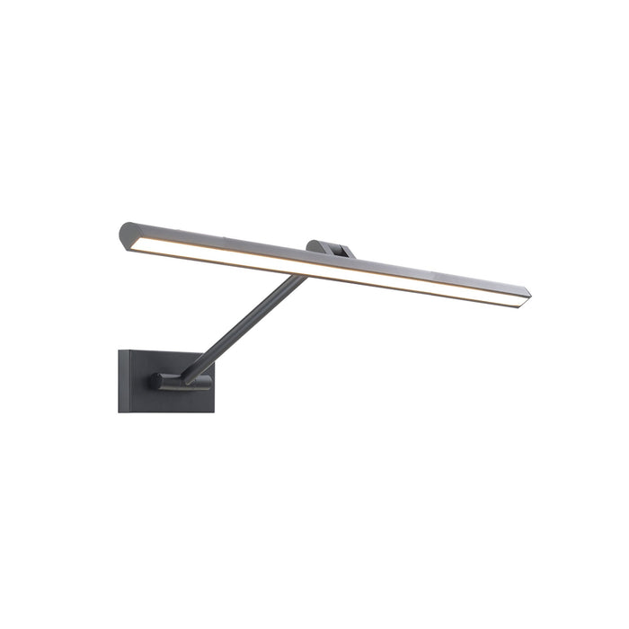Reed LED Swing Arm Light in Large/Black.