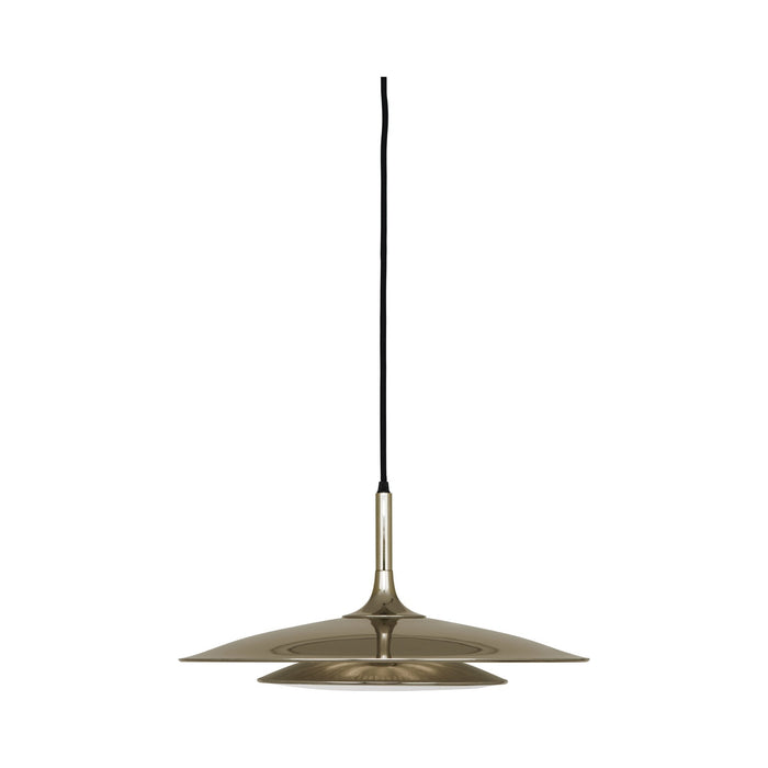 Axiom Pendant Light in Polished Gold.