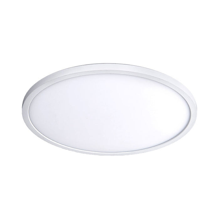 Round LED Ceiling/Wall Light in White (Large).