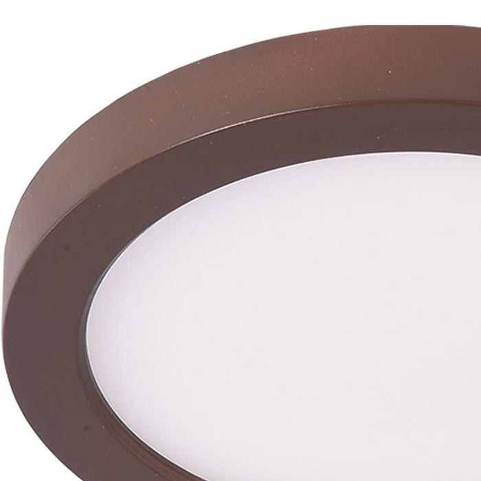 Round LED Ceiling/Wall Light in Detail.