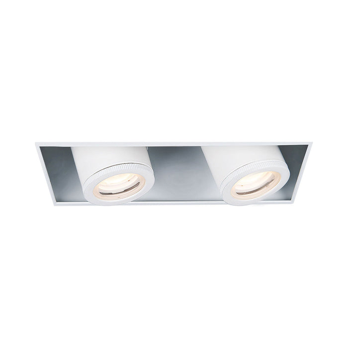 Silo Multiples 2 Light LED Recessed Trim in White (Trimless).