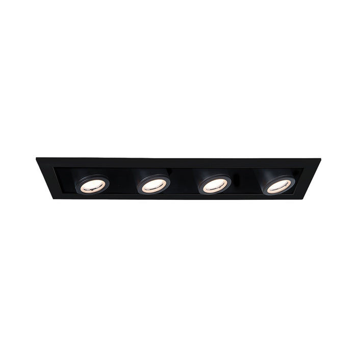 Silo Multiples 4 Light LED Recessed Trim in Black (Trim).