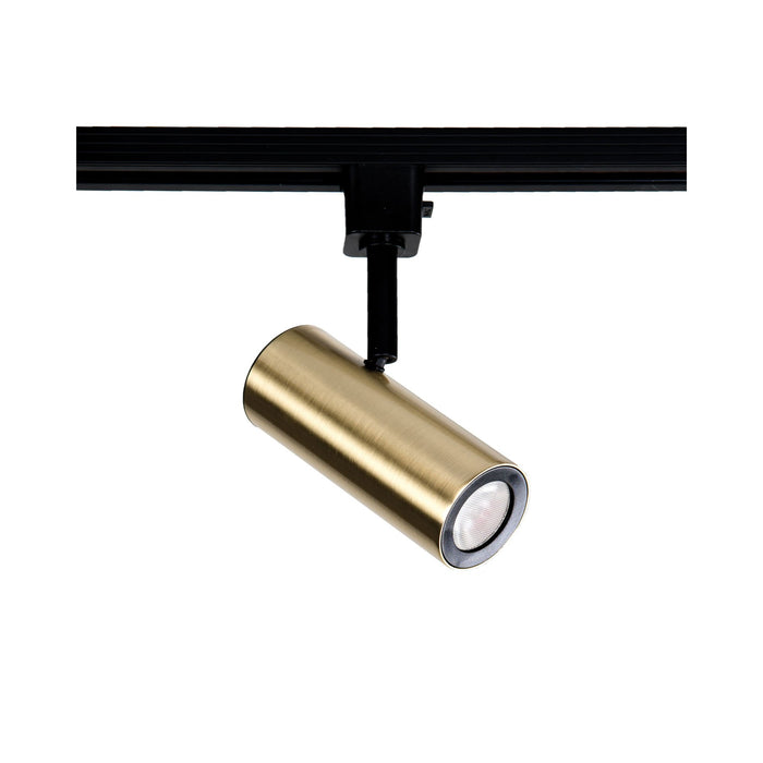 Silo X10 LED Track Head in Brushed Brass (H Track).