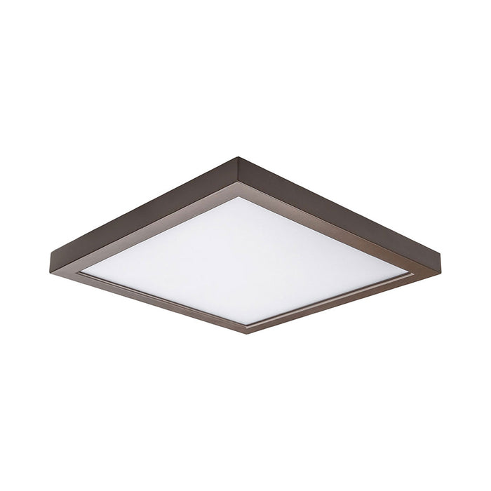 Square LED Ceiling/Wall Light.