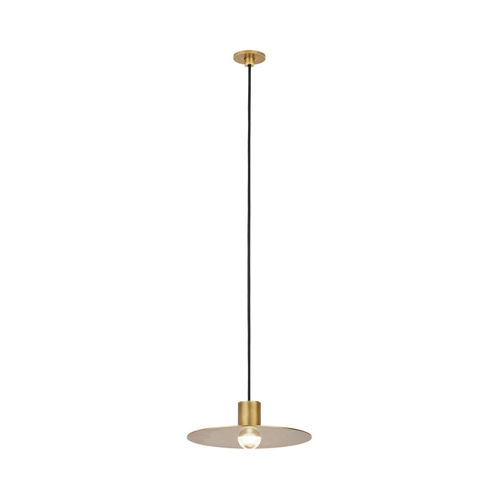 Eaves LED Pendant Light in Natural Brass (Small).