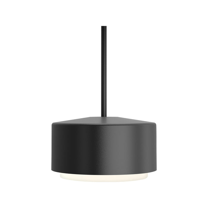 Roton Outdoor LED Pendant Light in Small/Black.
