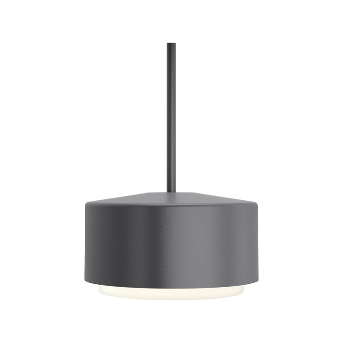 Roton Outdoor LED Pendant Light in Small/Charcoal.