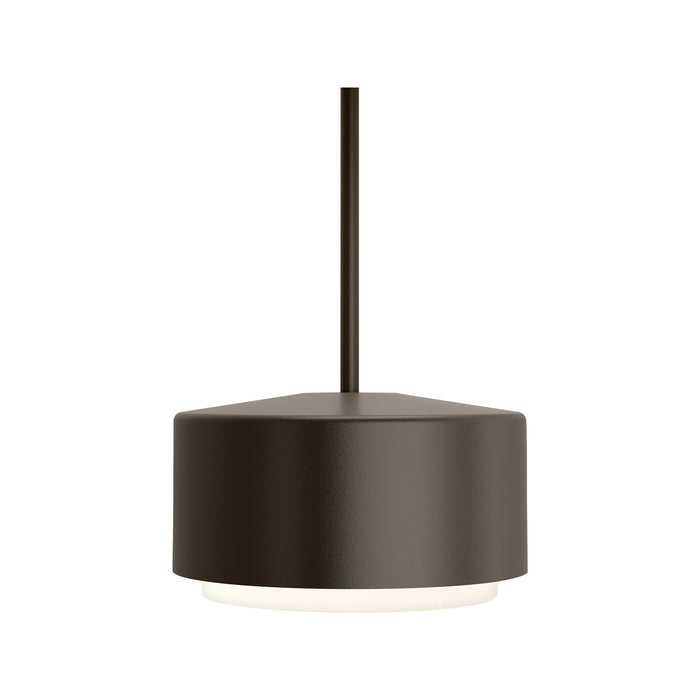 Roton Outdoor LED Pendant Light in Small/Bronze.