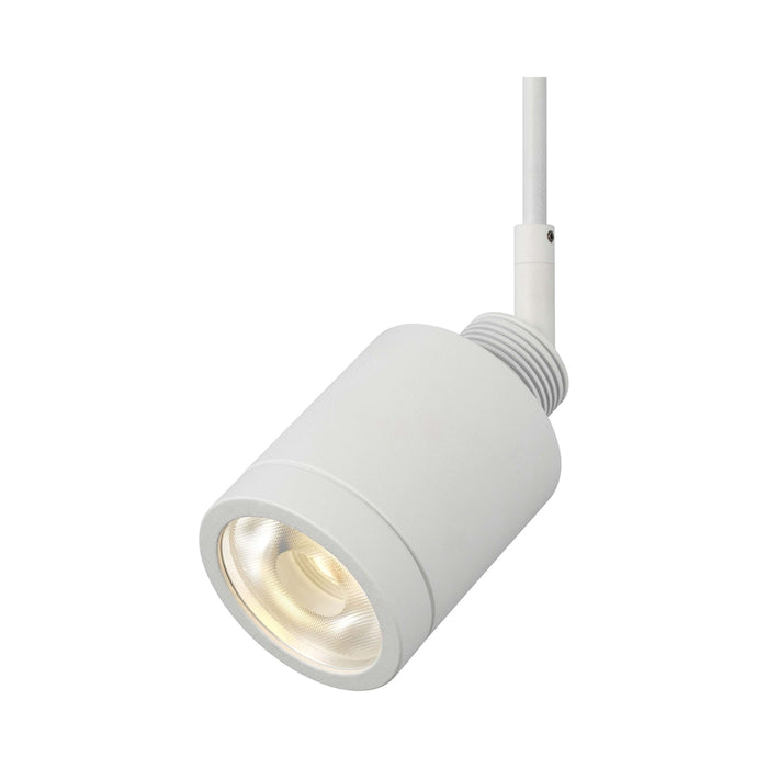 Tellium LED Low Voltage Head in White.